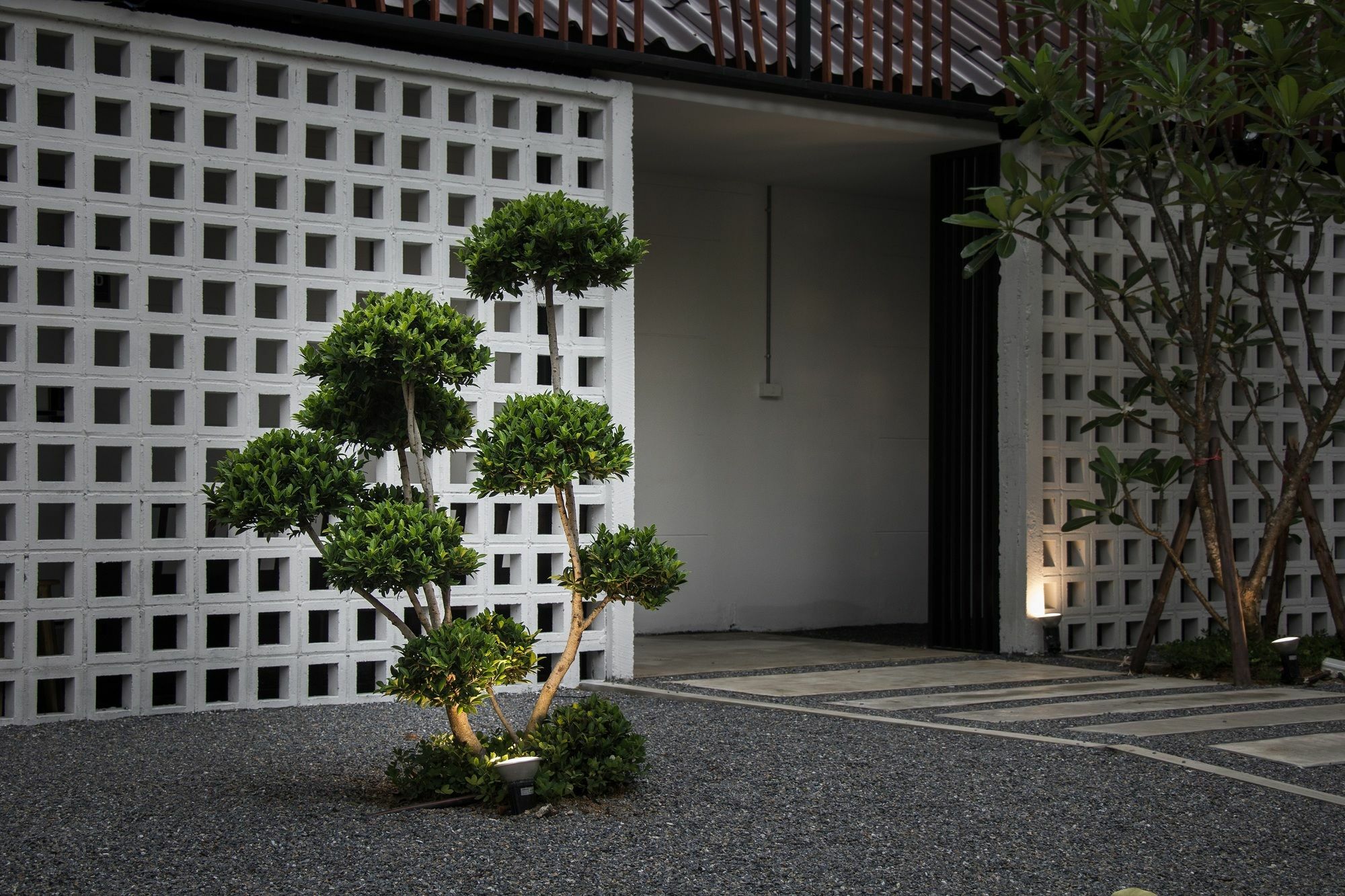 Zen Hostel Chiangmai Chiang Mai Esterno foto